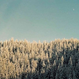 Winter Moon | 35mm Film Photo Print | Kodak Film | Nature Wall Art