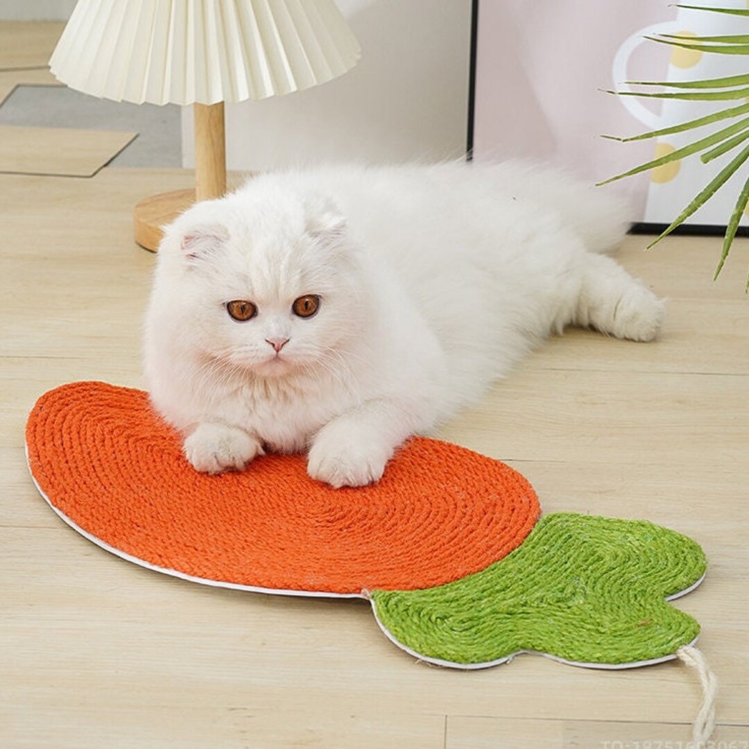 Carrot Cat Scratching Mat Modern Cat Scratcher Cat Etsy