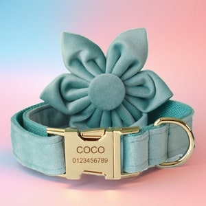 Mint Green Velvet Dog Collar & Leash Set, Personalized Dog Collar with Free Engraving and Customization, Choose Metal Color and Font