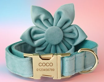 Collar y correa de terciopelo verde menta para perro: hebilla grabada personalizada