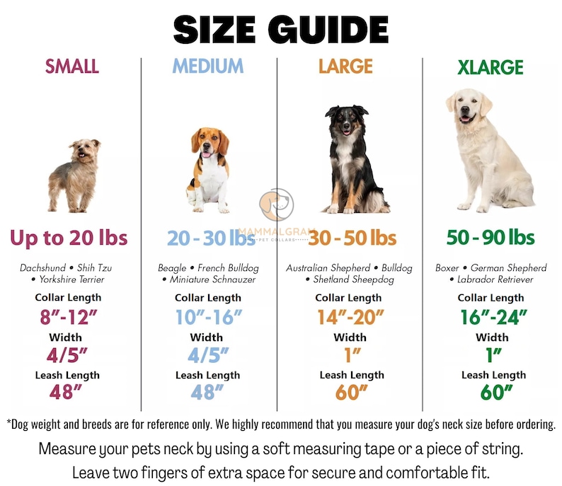 May include: A size guide for dog collars, showing four different sizes: small, medium, large, and extra large. Each size is illustrated with a dog breed and includes the recommended weight range, collar length, width, and leash length in inches.