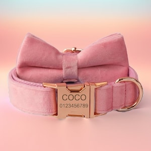 Baby Pink Velvet Dog Collar & Leash, Bow Tie and Flower Set, Free Engraving, Choose Metal Colors and Font, Pretty Girl Dog Collar