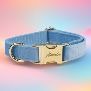 Sky Blue Velvet Dog Collar: Personalized Engraved Buckle, Bowtie & Flower