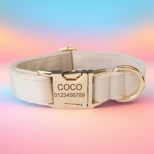 Cream White Velvet Personalized Wedding Dog Collar & Leash Set with Flower and Bowtie, Free Engraving, Metal Color and Font Choice
