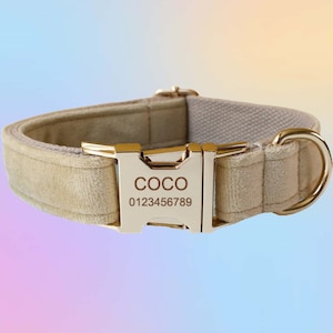 Soft Beige Velvet Dog Collar & Leash Set with Bow Tie, Free Engraving and Personalization, Choose Metal Color and Font, Wedding Dog Collar