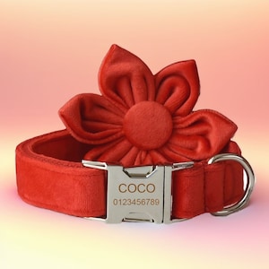 Rose Red Velvet Dog Collar & Leash Set with Bow Tie, Wedding Collar Set can be Personalized and Customized with metal color and font choice