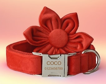 Rose Red Velvet Dog Collar with Bow Tie: Personalized Wedding Collar Set