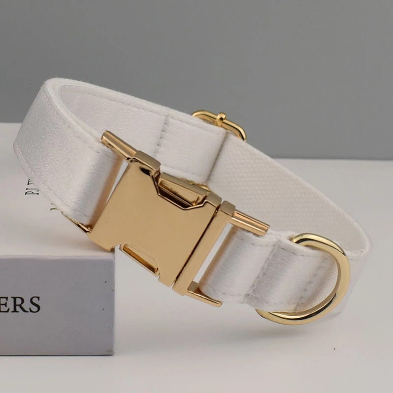 May include: White dog collar with a gold buckle and D-ring.