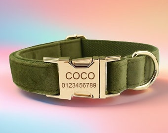 Collar y correa de terciopelo verde claro para perro: personalizables y con grabado gratuito.