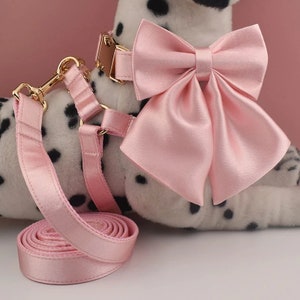 Personalized Pink Dog Collar Leash Set: Silky Bow, Free Engraving