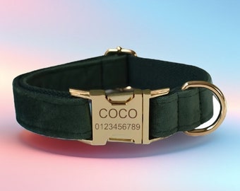 Dark Green Velvet Dog Collar Set: Engraved Buckle, Bowtie & Flower