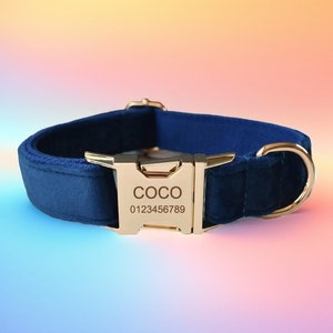 Navy Blue Velvet Dog Collar & Leash Set with Bowtie and Flower, Free Engraving, Personalized and Customized Dog Collar