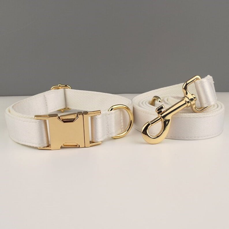 May include: White dog collar and leash set with gold hardware. The collar has a buckle closure and the leash has a clip.