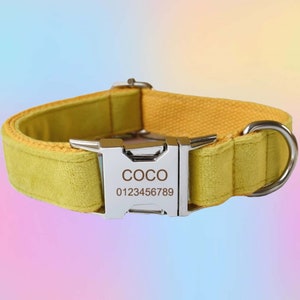 Yellow Velvet Dog Collar & Leash Set with Bow Tie or Flower - Free Personalization and Engraving with choice of font and metal colors
