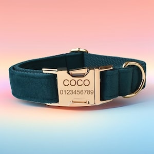 Emerald Green Velvet Dog Collar & Leash and Bow Tie, Customized Dog Collar with Free Engraving, Choose your metal color and font