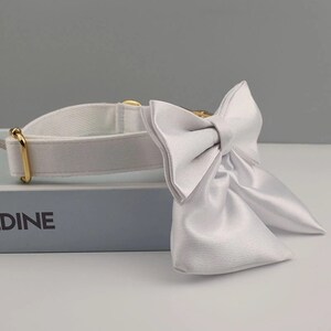 May include: White dog collar with a large white satin bow. The collar is made of a white canvas material and has a gold metal buckle.