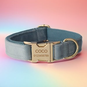 Sapphire Velvet Dog Collar & Leash Set with Bow Tie and Flower, Personalized and Customized, Choose Metal Color and Font