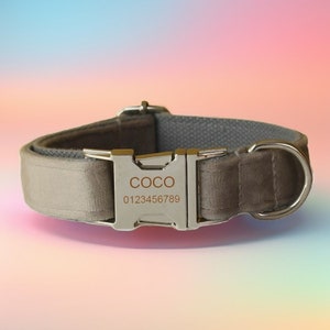 Velvet Dog Collar with Bowtie and Flower: Personalized Engraved Buckle