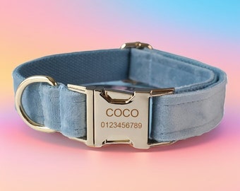 Conjunto de collar y correa para perro de terciopelo azul claro: hebilla grabada y pajarita