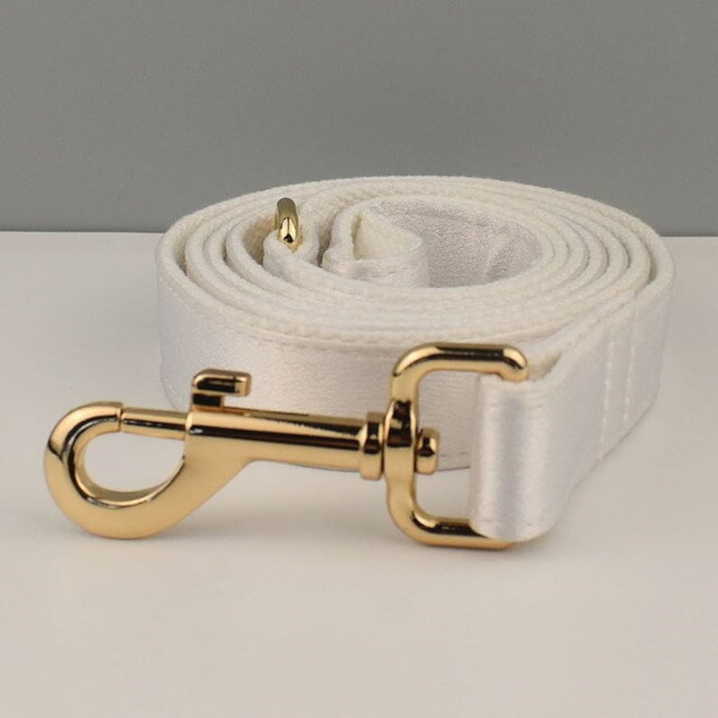 May include: White cotton dog leash with a gold metal clip.