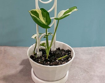 Plant Pot and Saucer Set, 3D Printed Minimalist Deco, Suitable for Small House Plant Pots, Printed with Sustainable Plastic