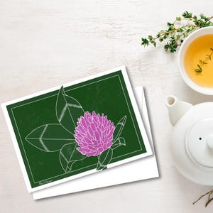 以下が含まれることがあります： ピンクのレッドクローバーの花と白いアウトラインの緑の葉が描かれたグリーティングカード。濃い緑色の背景に設定されています。カードは白い表面にあり、白いティーポットとティーカップが背景にあります。「Red Clover」の文字が左下にあります。