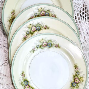 May include: A set of four round ceramic plates featuring a cream-colored center and a pale green rim. Each plate is decorated with a floral pattern consisting of small pink, yellow, and blue flowers with green leaves arranged along the edges.