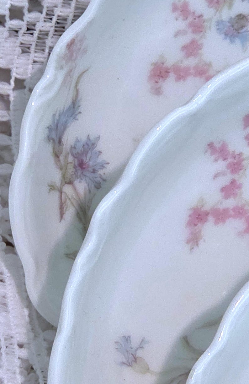 May include: Close-up of several white porcelain plates with scalloped edges. Each plate is decorated with delicate floral patterns in shades of pink and blue. The plates are stacked, showcasing the intricate designs.