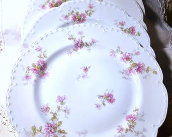 Antique Haviland & Co "Schleiger 244D" Pink Floral Set of 4 Dinner Plates