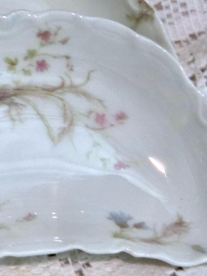May include: Close-up of a white porcelain dish with a scalloped edge. The surface is decorated with delicate floral patterns in pink, green, and blue. The design features small flowers and leaves.