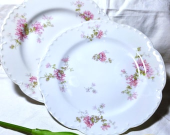 Haviland & Co "Schleiger 244D" Pink Floral Set of 2 Salad Plates