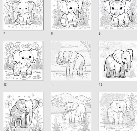 Elephant Sketchbook for Kids ages 4-8 Blank Paper for Drawing.