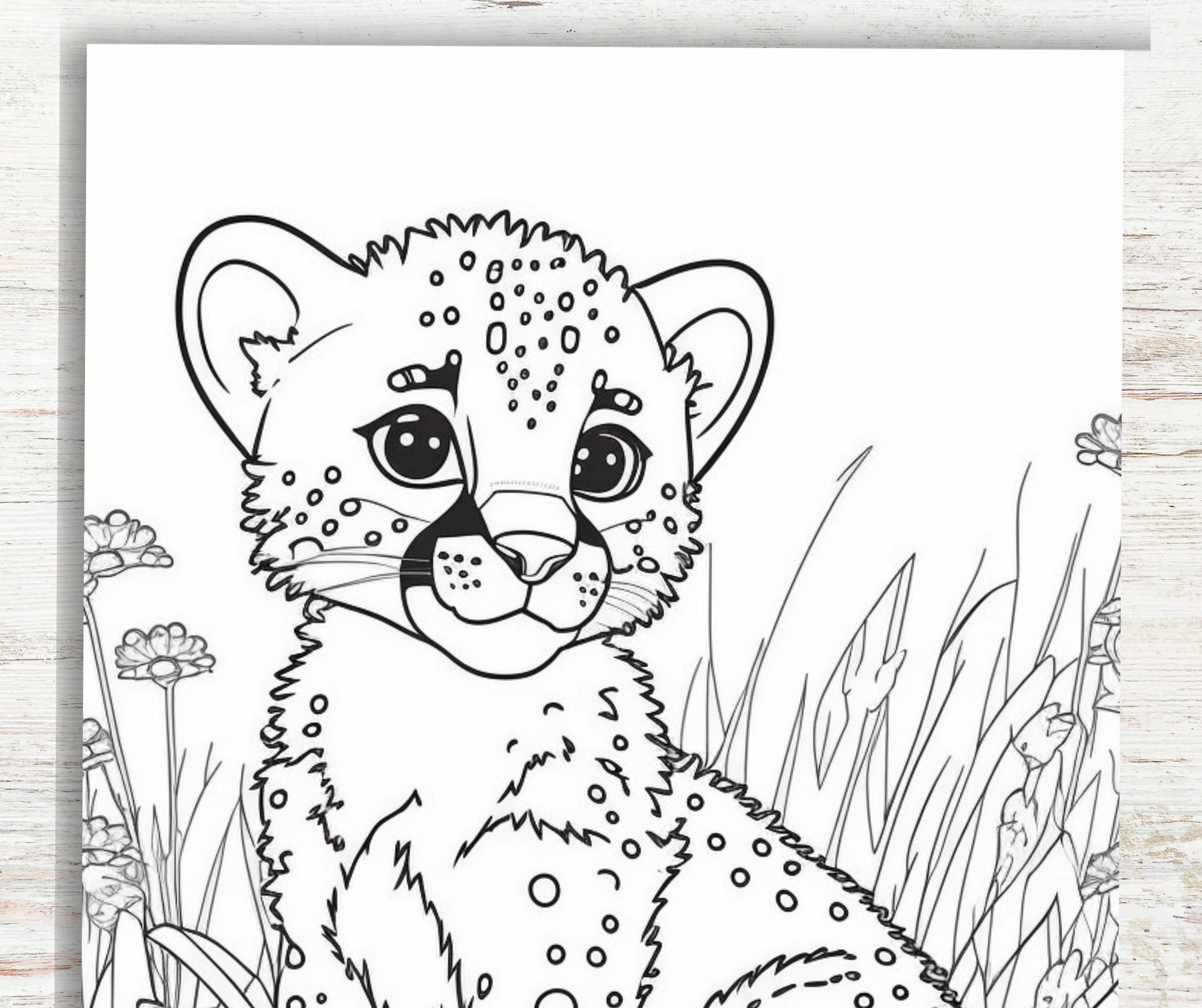 Baby Cheetah Coloring Pages For Kids