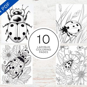 10 Ladybug Coloring Pages | A4 Printable PDF | Bug Coloring Book For Adults, Teens & Kids | Stress Relief Colouring