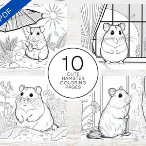 10 Cute Hamster Coloring Pages | Animal Coloring Pages For Kids, Teens & Adults | Printable A4 PDF | Stress Relief and Relaxation