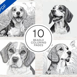 May include: A set of 10 black and white coloring pages featuring Beagle dogs in various poses. The pages include a Beagle wearing glasses, a Beagle with its tongue sticking out, and a Beagle looking to the side. The text "10 Beagle Coloring Pages" is printed in the center of the image.