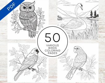 May include: A set of 50 printable colouring pages featuring various birds. The images include an owl, a swan, a finch, and a parrot. Each bird is depicted in a detailed, intricate style, perfect for adults and children who enjoy colouring.