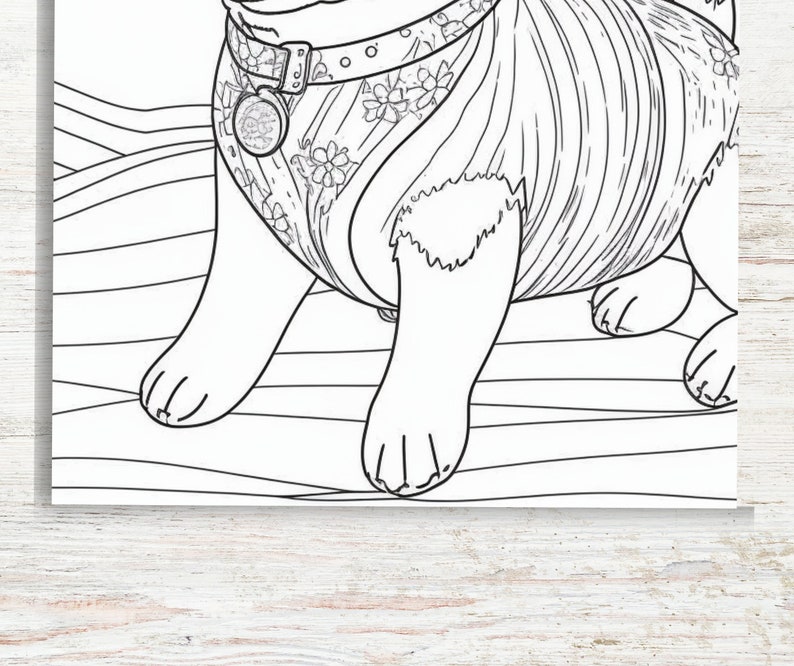 May include: A black and white line drawing of a dog wearing a floral patterned outfit and a collar with a tag. The dog is sitting on a striped surface.