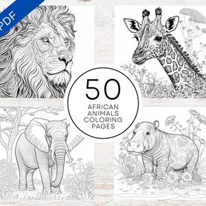 KDP Interior 50 African Animals Coloring Pages | 8.5&quot; x 11&quot; Printable PDF & Canva Template | Realistic Africa Willdlife Coloring Book