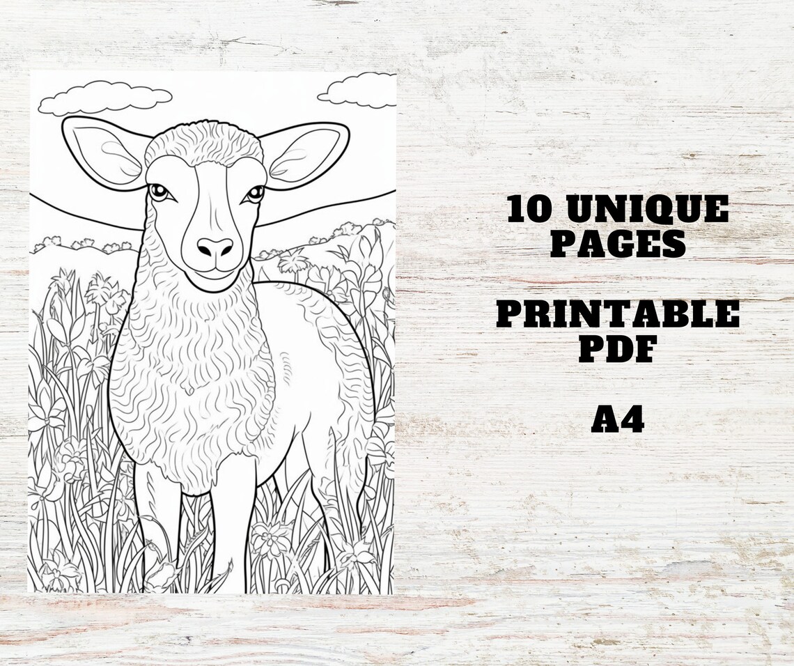 10 Lamb Coloring Pages | Printable PDF A4 | Farm Animal Coloring Sheets ...