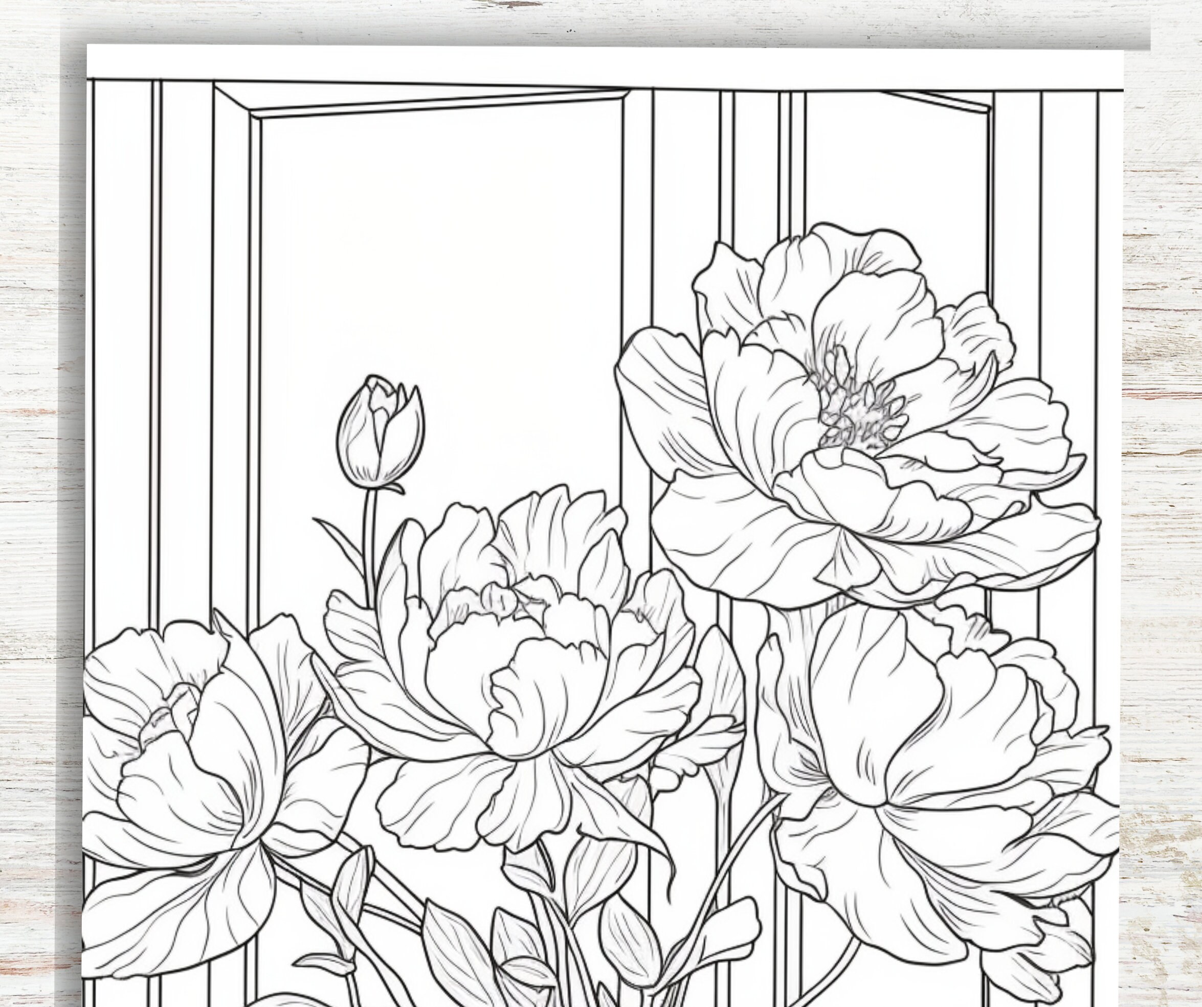 KDP Interior 50 Peony Flower Coloring Pages for Adults | 8.5" X 11 ...