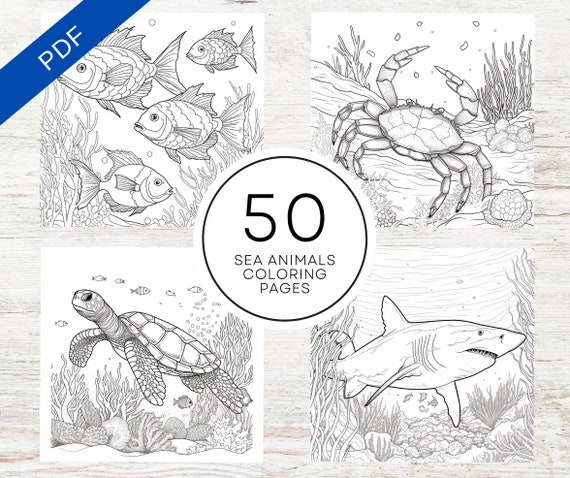 KDP Interior Sea Animals Coloring Pages For Adults | 8.5" x 11" Printable PDF & Canva Template | Stress Relief Coloring Book