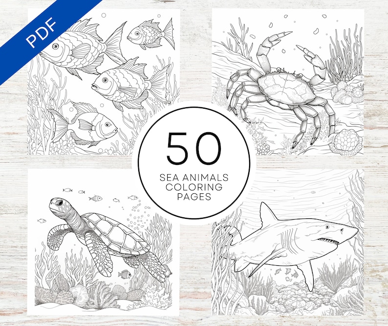 KDP Interior Sea Animals Coloring Pages For Adults | 8.5" x 11" Printable PDF & Canva Template | Stress Relief Coloring Book image 1