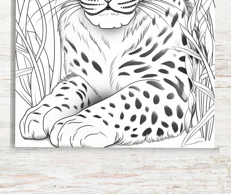 May include: A black and white line drawing of a spotted cat sitting in tall grass. The cat is looking directly at the viewer with its mouth closed. The cat's paws are visible and the fur is detailed with spots.