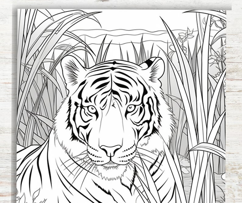 20 Lions and Tigers Coloring Pages Printable PDF A4 Wild Animals