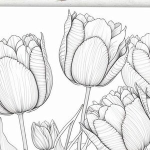 Puede incluir: Un dibujo en blanco y negro de cinco tulipes. Las tulipes est&aacute;n dibujadas en un estilo realista, con p&eacute;talos y tallos detallados.