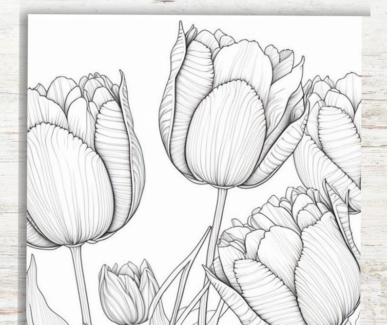 Puede incluir: Un dibujo en blanco y negro de cinco tulipes. Las tulipes est&aacute;n dibujadas en un estilo realista, con p&eacute;talos y tallos detallados.