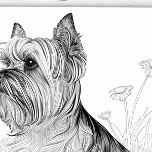 10 söta målarbilder med Yorkshireterrier | Utskrivbara målarbilder med hundar för tonåringar, vuxna och hundälskare | Stresslindring och avslappning bild 3