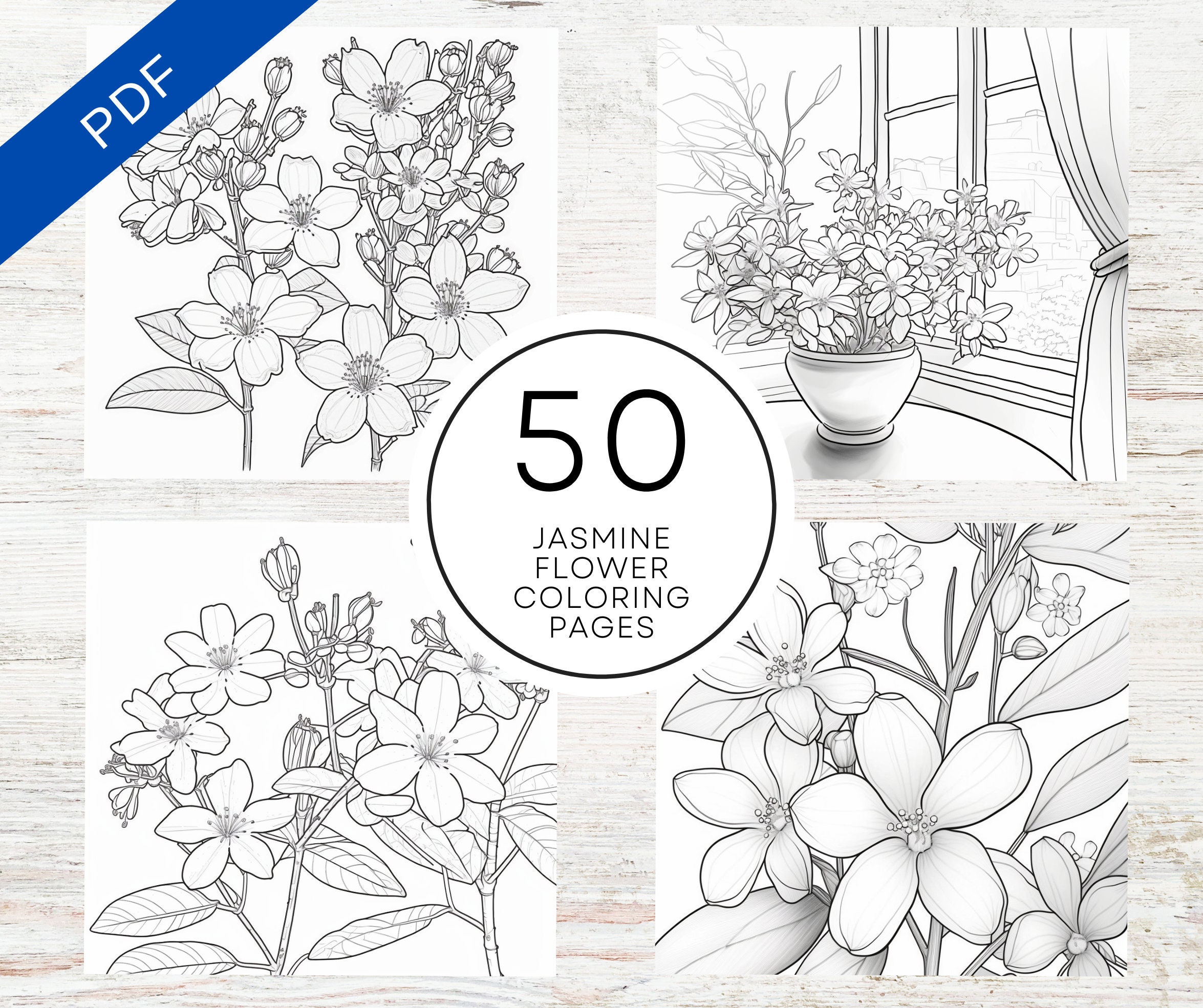 Jasmine Flower Coloring Pages