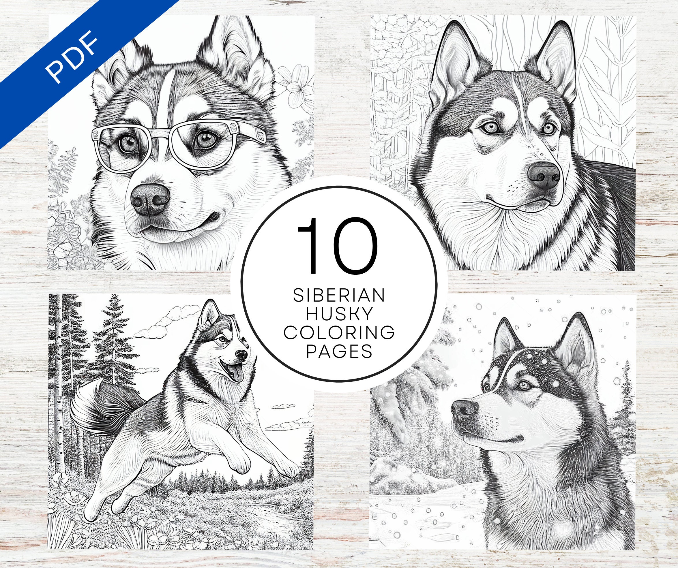 Printable Siberian Husky Coloring Pages